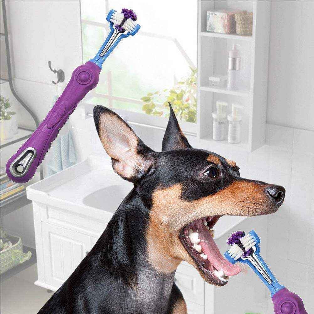 3-sided dog toothbrush