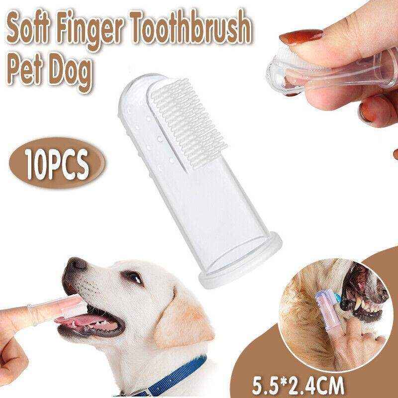 Close-up of a Puppy Finger Toothbrush for effective pet dental care