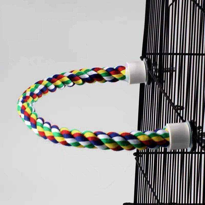 Colorful Standing Bird Perch for Birds