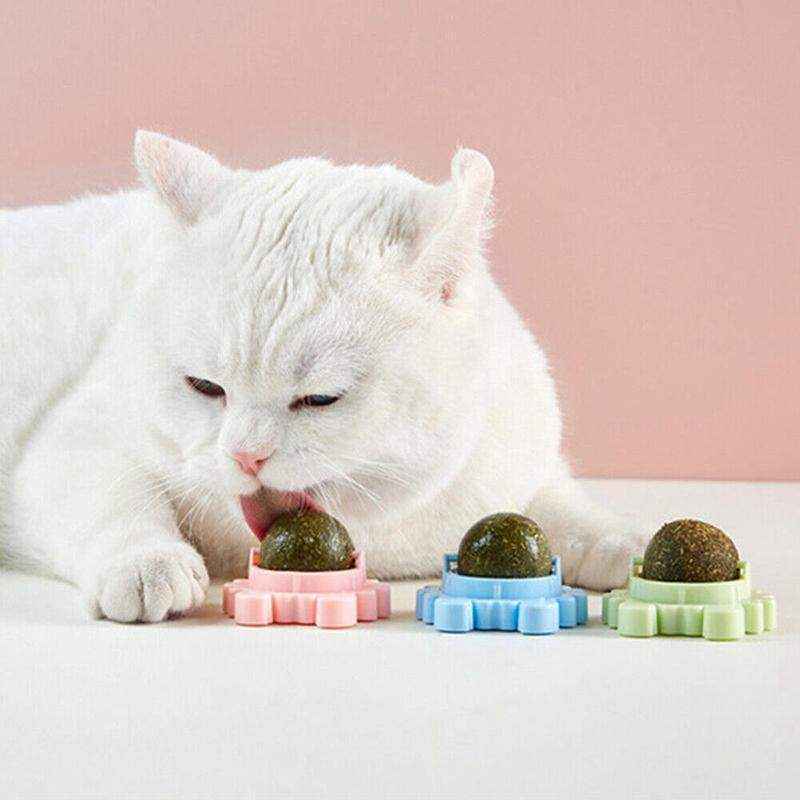 Rotatable Cat Mint Balls for Interactive Play