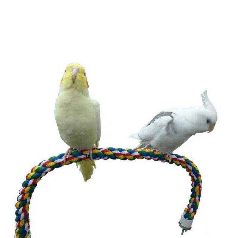 Colorful Standing Bird Perch for Birds