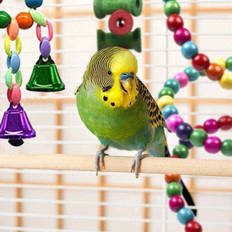 Colorful Hanging Bird Toy Set with Bells and Ladder Parrot Cage Toys
