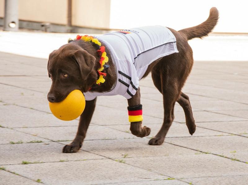 A dog wearing a jersey and a lei runs with a yellow ball in its mouth