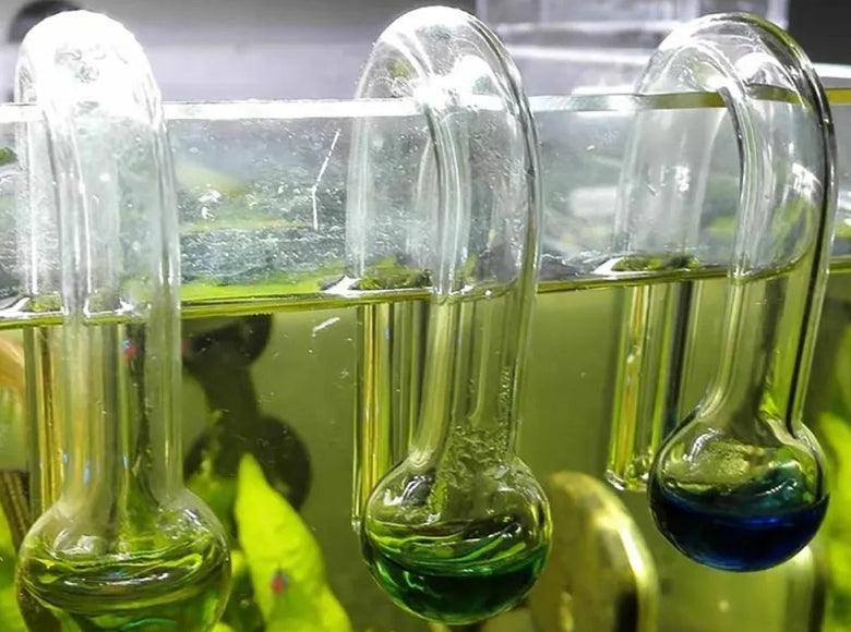 Curated visual reference: Fresh Look at The Importance Of Co2 Monitoring In Aquariums
