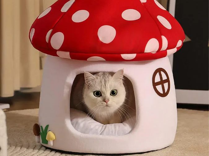 Gray cat sitting inside a mushroom-shaped enclosed cat bed with red and white polka dot roof