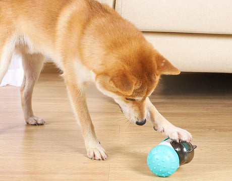 Pet Toys - Petfection Corner