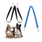 Dog Collars, Leads & Harnesses