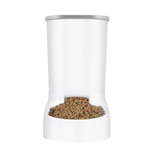  Automatic Dog Feeders
