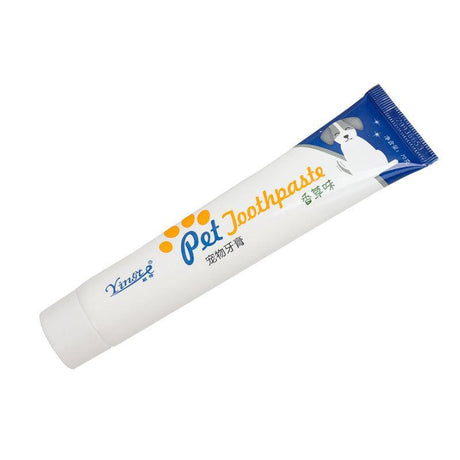 Dental Care