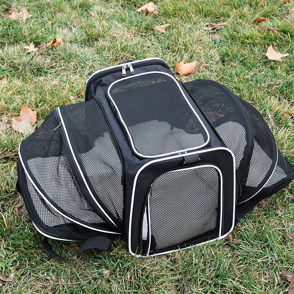 Cat Carrier Bag - Extended Portable Pet Bag for Small Dogs