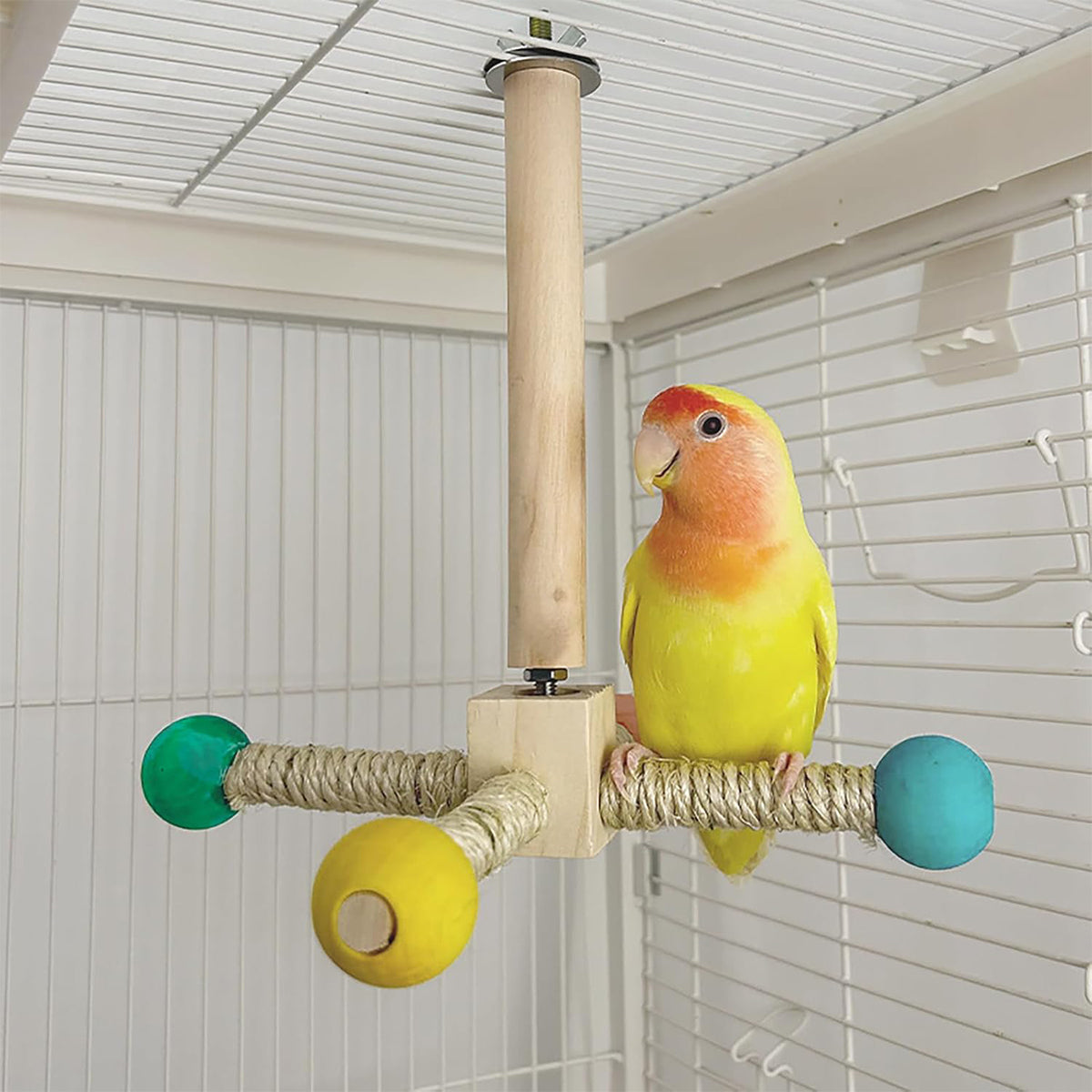 360° Rotating Bird Stand with Silent Bearings for Parrots and Budgies