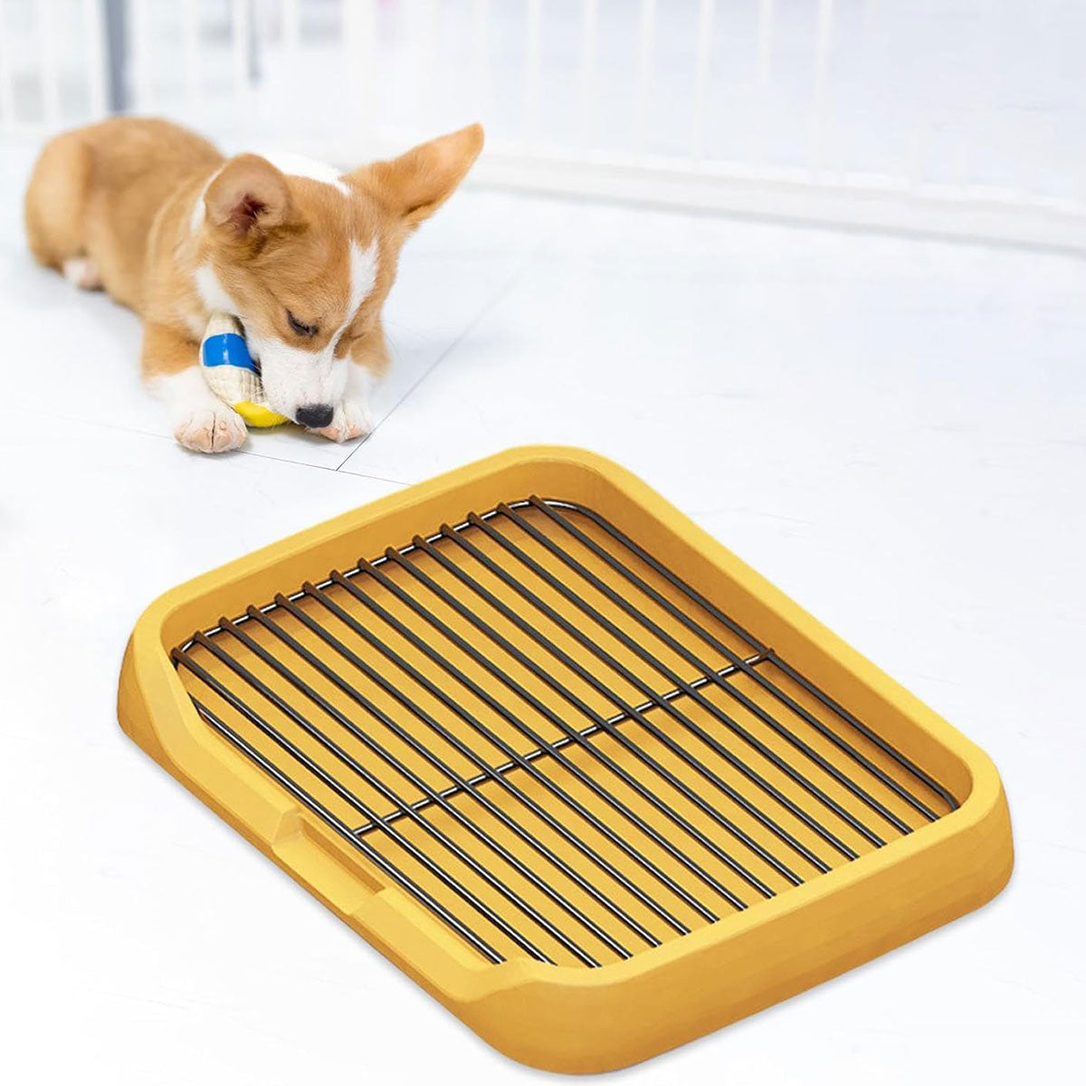 Flat Dog Toilet Tray With Iron Frame