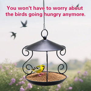 Hanging Metal Bird Feeder for Outdoor Garden & Wild Birds