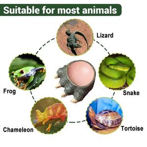 Dinosaur Claw Reptile Water Dish