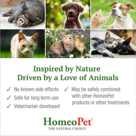 HomeoPet Feline Host No More 15ml