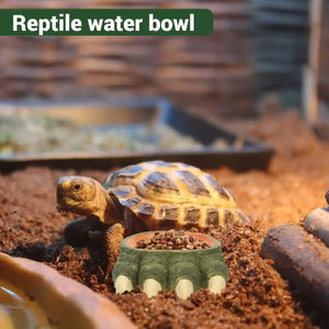 Dinosaur Claw Reptile Water Dish