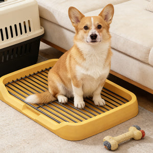 Flat Dog Toilet Tray With Iron Frame