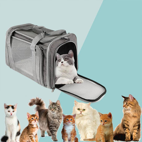 Foldable 50cm pet carrier bag for cats and small dogs – product view 13