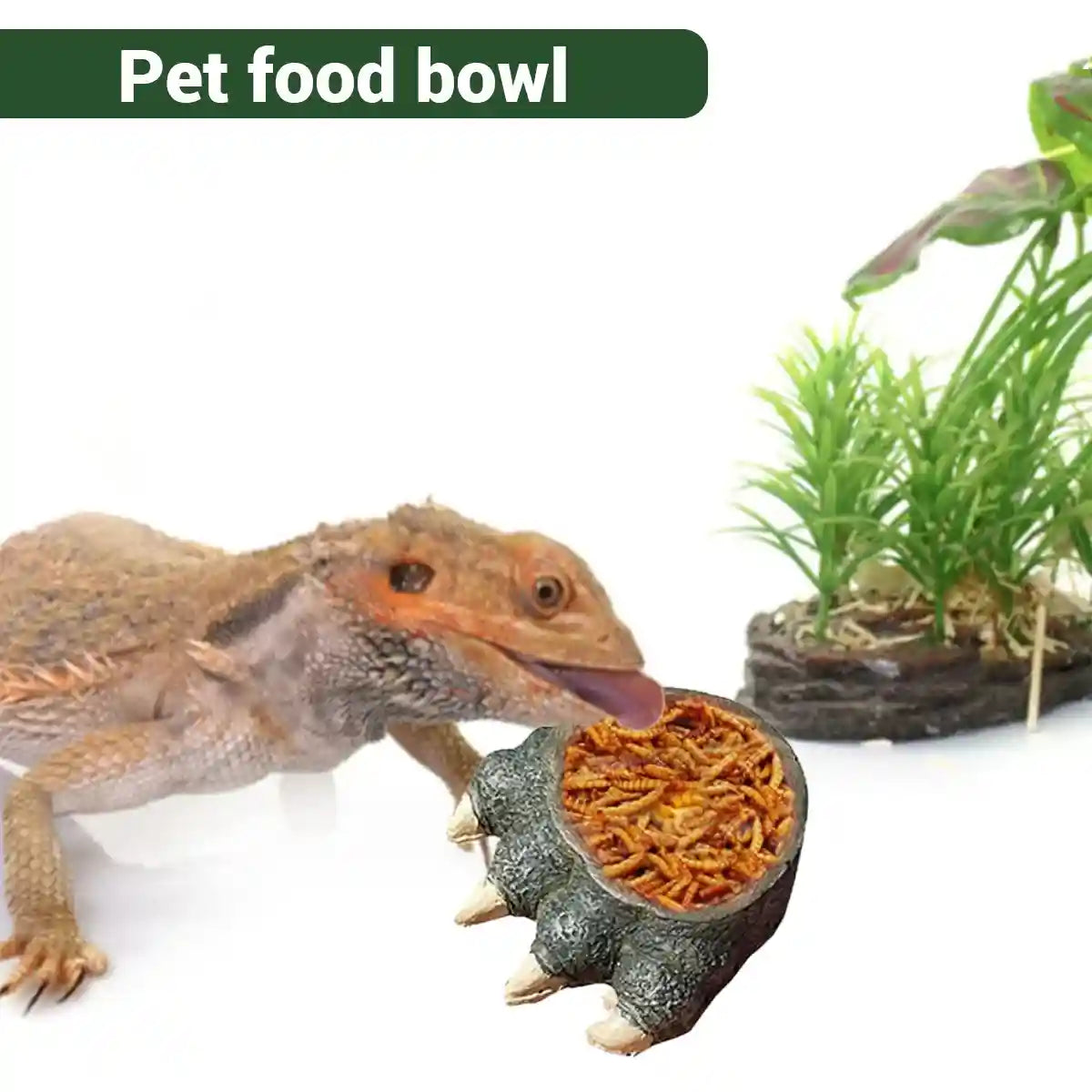 Dinosaur Claw Reptile Water Dish