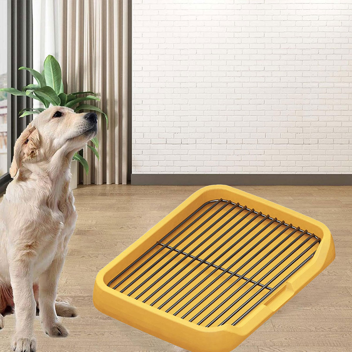 Flat Dog Toilet Tray With Iron Frame