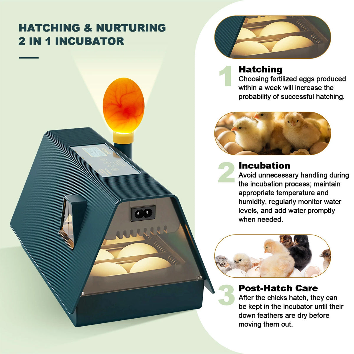 Smart 10 Egg Incubator With Automatic Turning & LED Candling