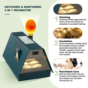 Smart 10 Egg Incubator With Automatic Turning & LED Candling