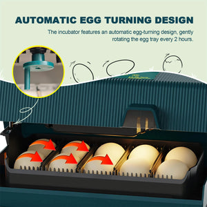 Smart 10 Egg Incubator With Automatic Turning & LED Candling