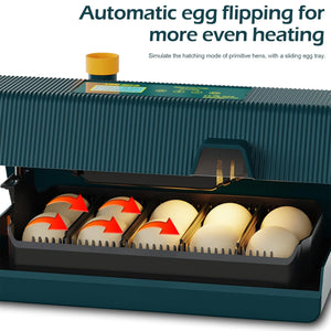 Smart 10 Egg Incubator With Automatic Turning & LED Candling