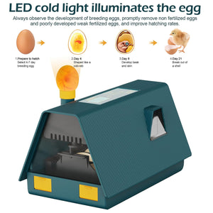 Smart 10 Egg Incubator With Automatic Turning & LED Candling
