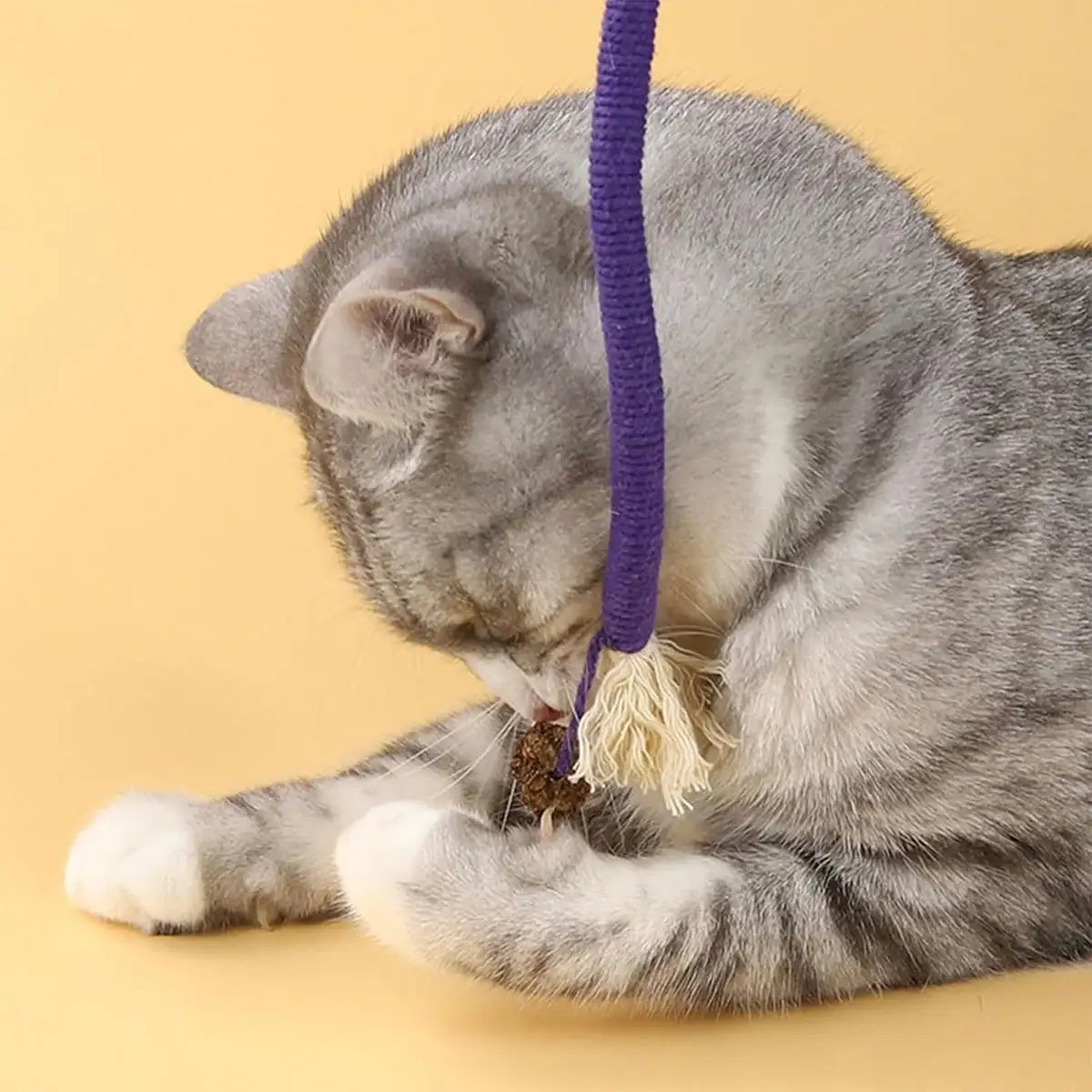 3PCS Interactive Chew & Scratch Toys with Cat Play Set for Indoor Fun