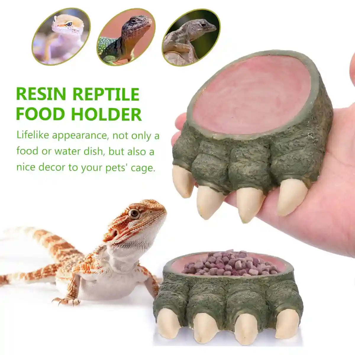 Dinosaur Claw Reptile Water Dish