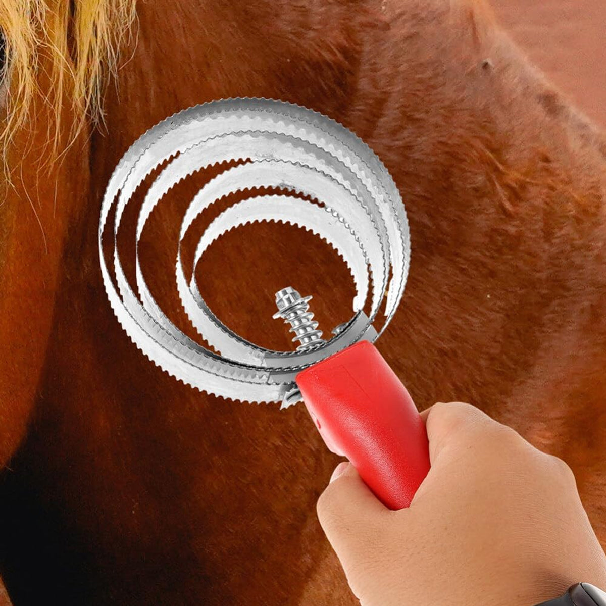 Stainless Steel Grooming Brush Ring Comb For Horses & Cattle