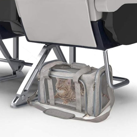 Foldable 50cm pet carrier bag for cats and small dogs – product view 7
