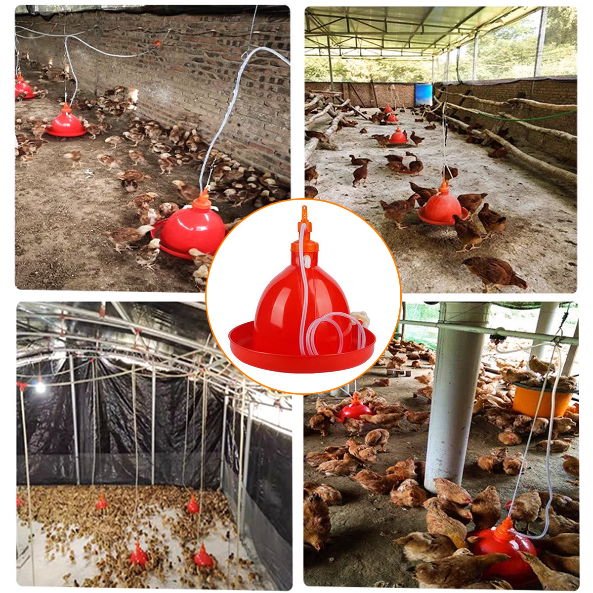 Automatic Poultry Waterer With Hose 40cm