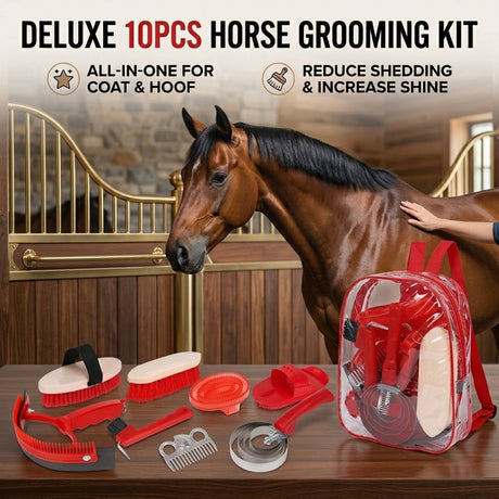 Ten-piece horse grooming kit with carry tote