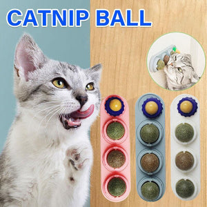 Catnip Toys