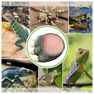 Dinosaur Claw Reptile Water Dish