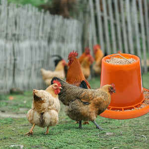 10KG Chicken Feeder Pail With Steel Handle