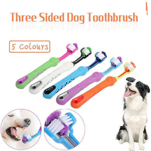 Three-Head Cleaning Tool for Pets with Soft Dog Toothbrush Design