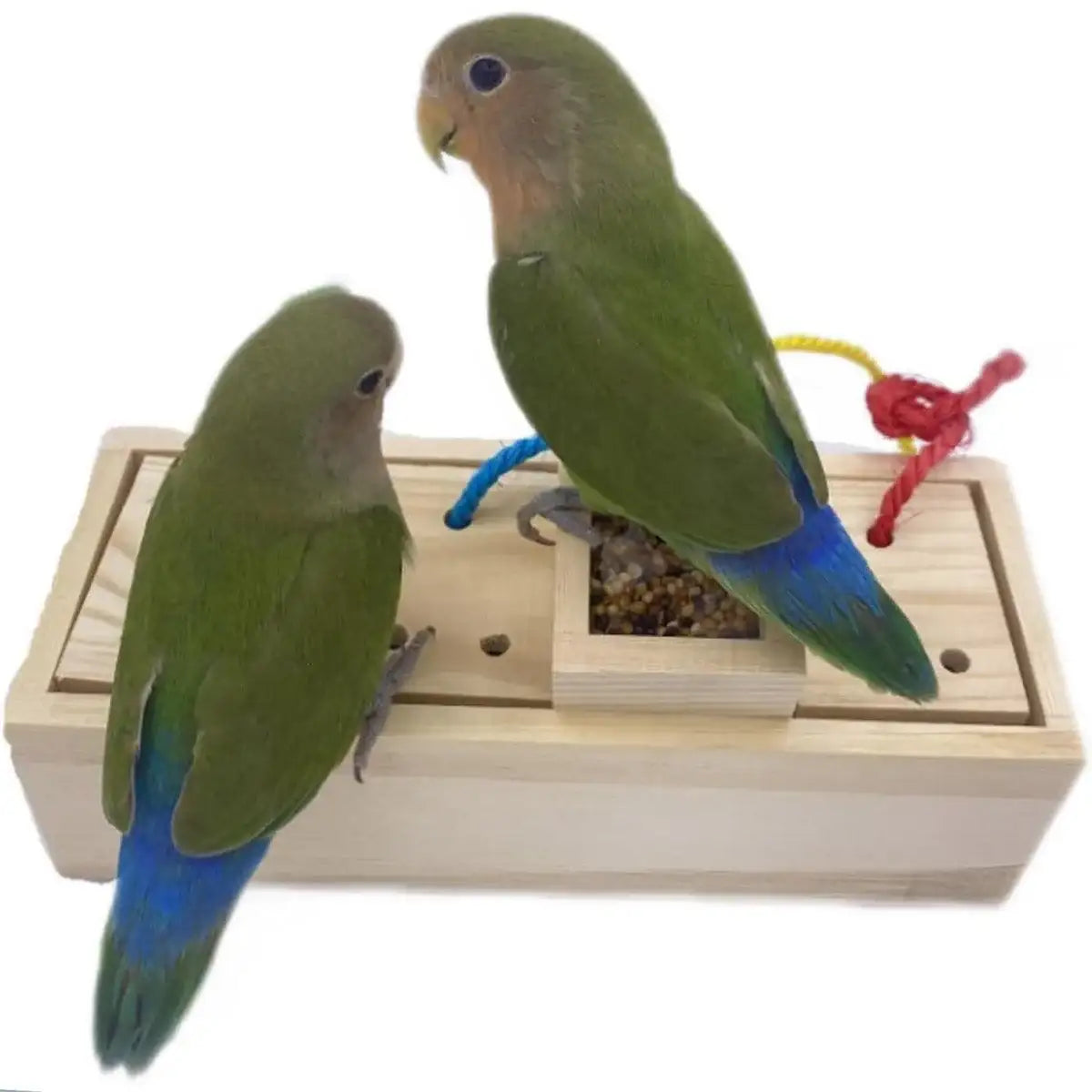 Wooden Parrot Foraging Toy Box with Drawers and Ropes