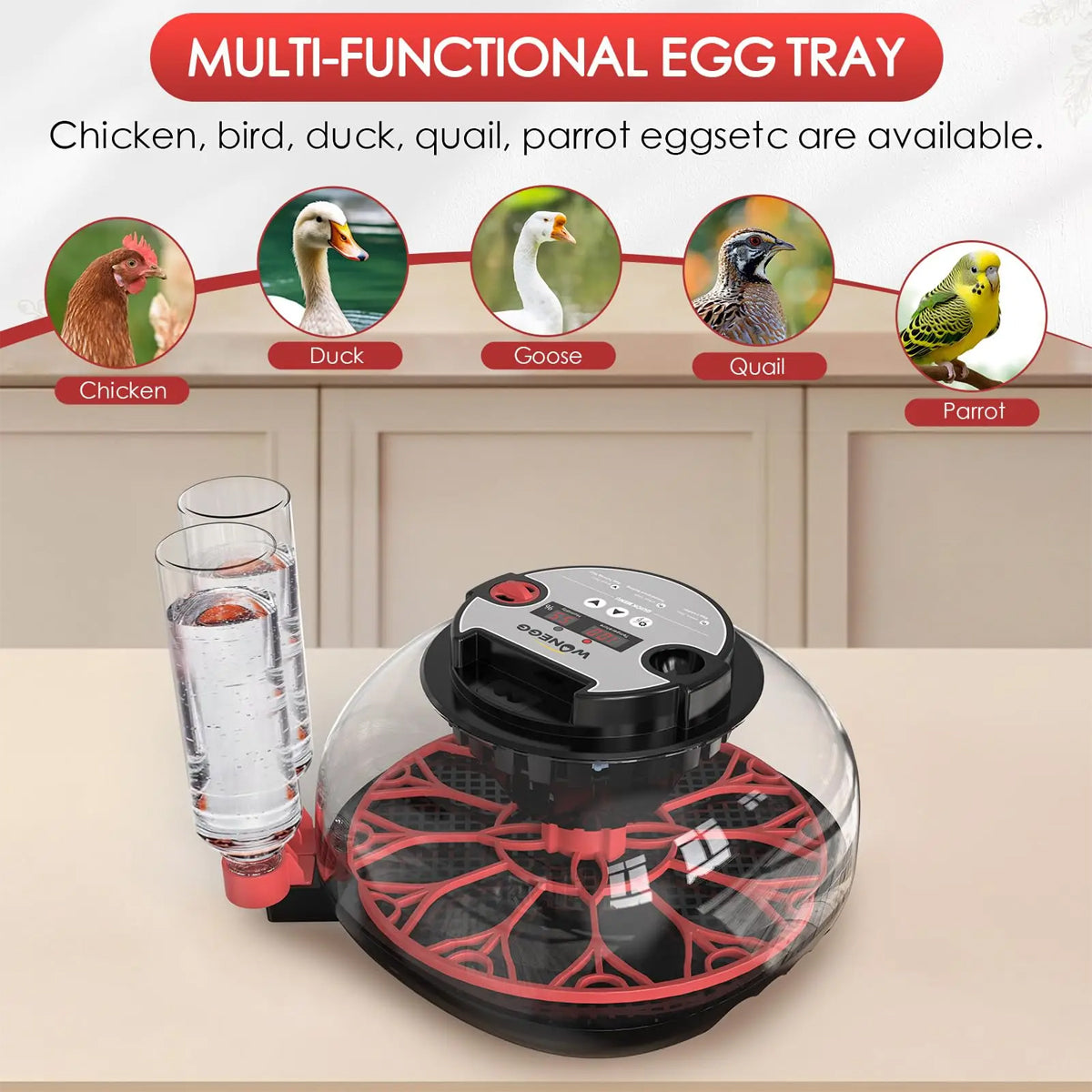 12 Egg Incubator Auto Turn Humidity & Water Refill