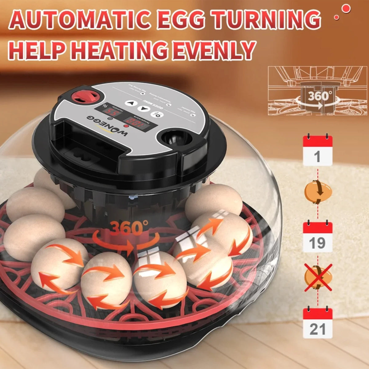 12 Egg Incubator Auto Turn Humidity & Water Refill