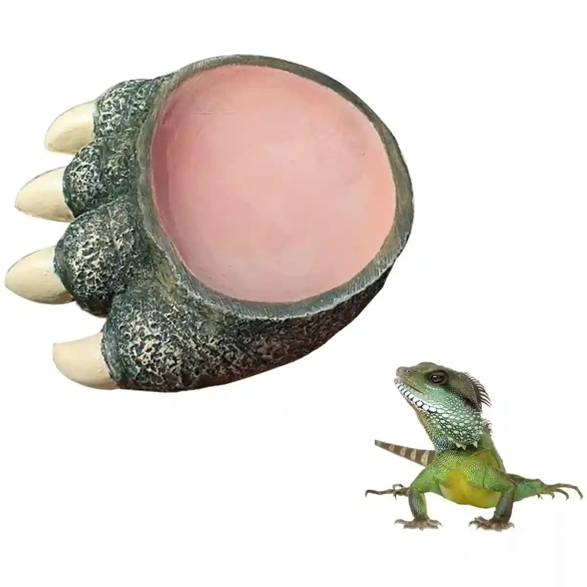 Dinosaur Claw Reptile Water Dish