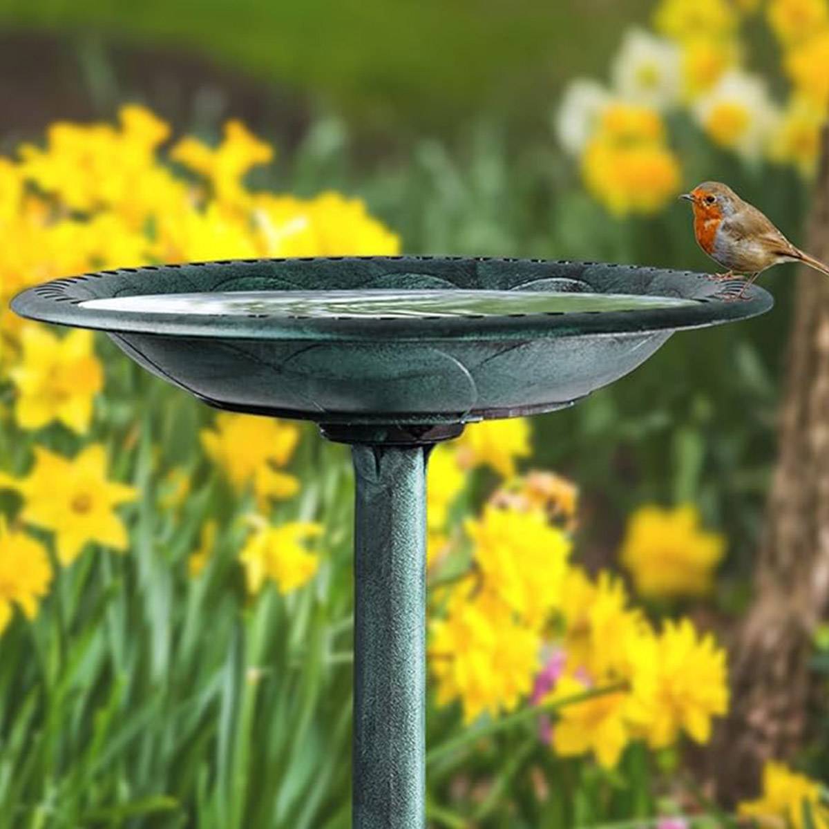 Pedestal Bird Bath for Outdoor Garden | Antique Vintage Style