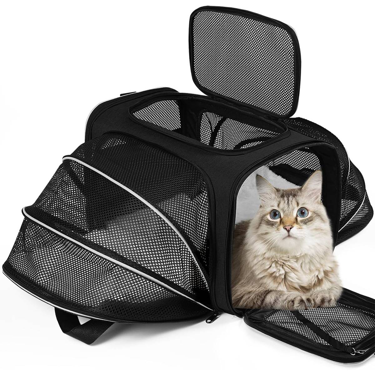 Cat Carrier Bag - Extended Portable Pet Bag for Small Dogs