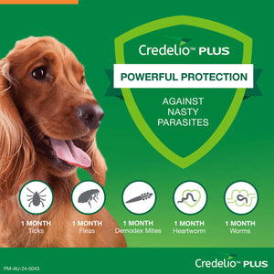 Credelio Plus Chewable Tablets For Medium Dogs 5.6-11kg