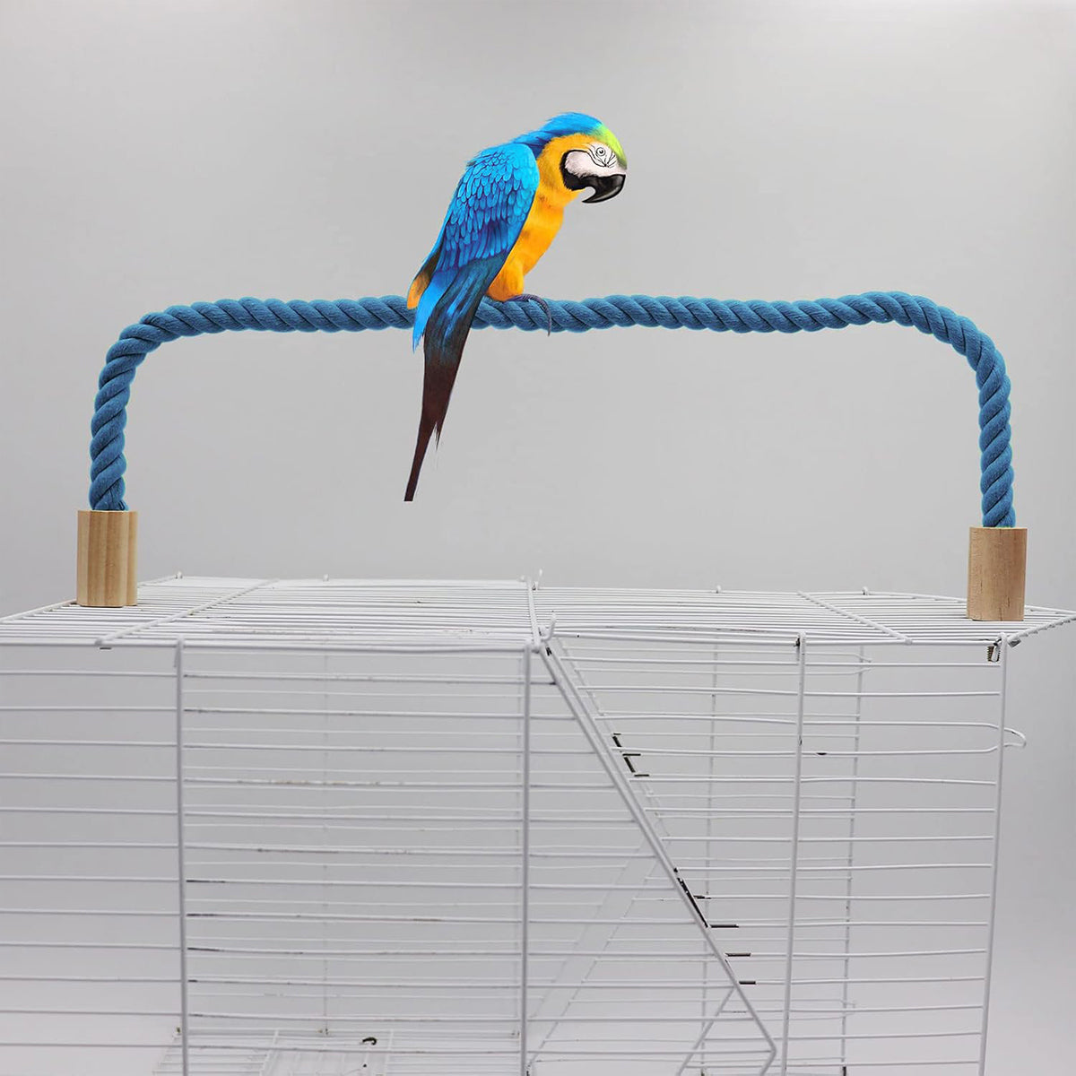 Flexible Bird Rope Perch for Parrots & Pet Birds 55–100cm Options