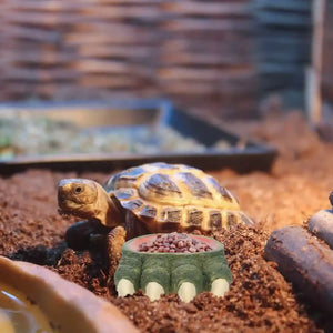 Dinosaur Claw Reptile Water Dish