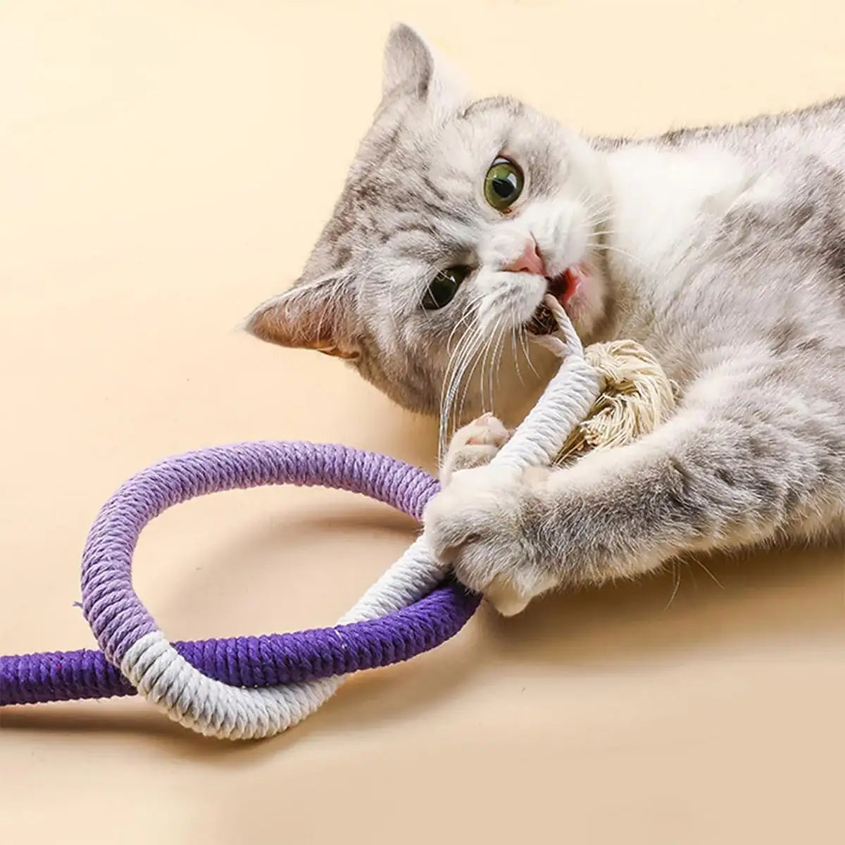 3PCS Interactive Chew & Scratch Toys with Cat Play Set for Indoor Fun