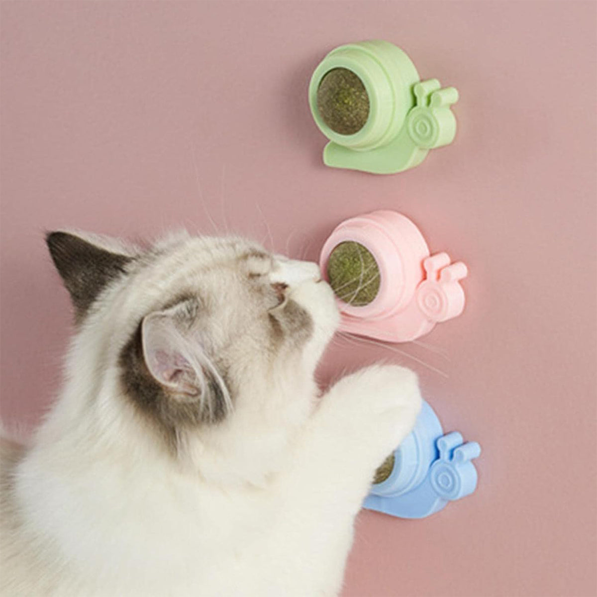 Snail Shape Catnip Toy Set With Adhesive Back and Mint Ball